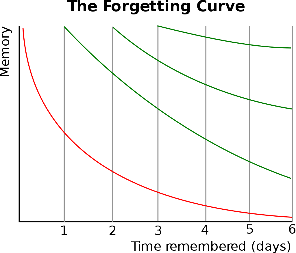forgetting curve wikipedia